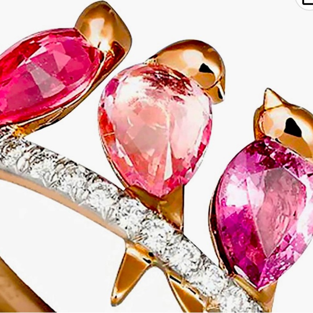 Stunning 3 Birds with Red & Pink Sapphire Ring